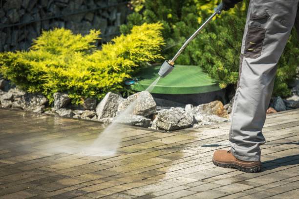 Best Driveway Pressure Washing  in West Whittier Los Nietos, CA